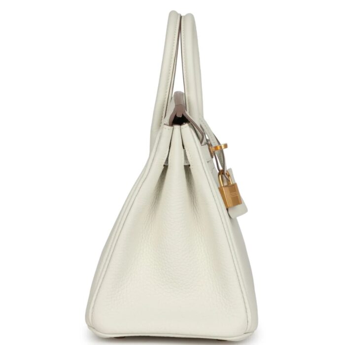 HERMÈS BIRKIN 25 MUSHROOM TOGO GOLD HARDWARE