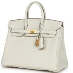 HERMÈS BIRKIN 25 MUSHROOM TOGO GOLD HARDWARE