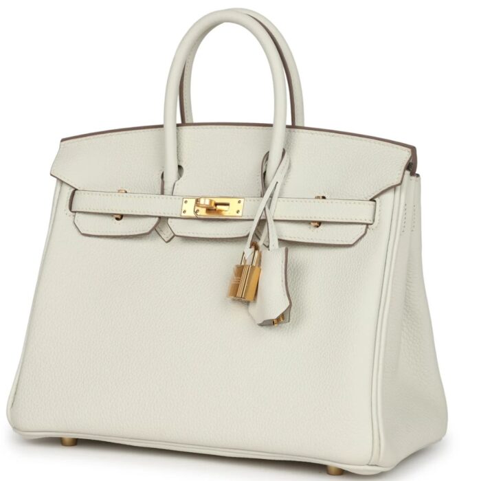 HERMÈS BIRKIN 25 MUSHROOM TOGO GOLD HARDWARE