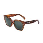 CELINE MONOCHROMS 03 SUNGLASSES IN ACETATE